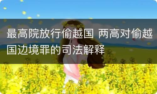 最高院放行偷越国 两高对偷越国边境罪的司法解释