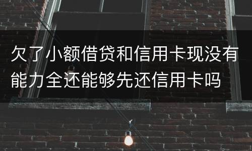 欠了小额借贷和信用卡现没有能力全还能够先还信用卡吗
