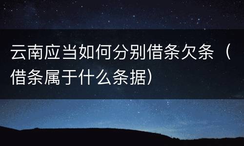 云南应当如何分别借条欠条（借条属于什么条据）