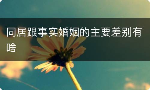 同居跟事实婚姻的主要差别有啥
