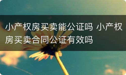 小产权房买卖能公证吗 小产权房买卖合同公证有效吗