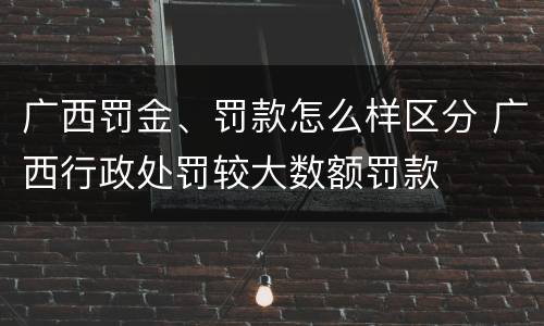 广西罚金、罚款怎么样区分 广西行政处罚较大数额罚款