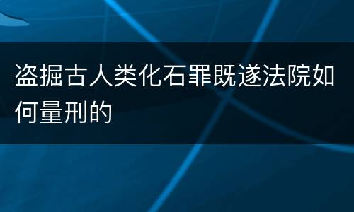 盗掘古人类化石罪既遂法院如何量刑的
