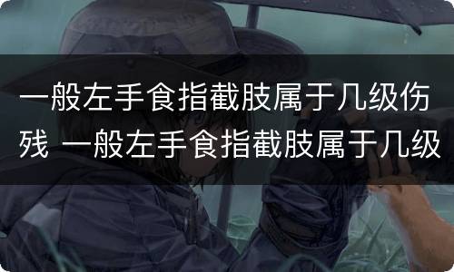 一般左手食指截肢属于几级伤残 一般左手食指截肢属于几级伤残标准