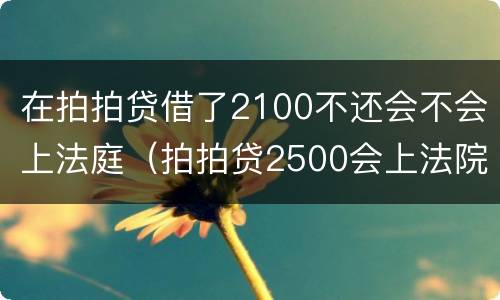 在拍拍贷借了2100不还会不会上法庭（拍拍贷2500会上法院嘛）