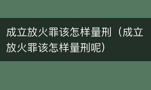 成立放火罪该怎样量刑（成立放火罪该怎样量刑呢）