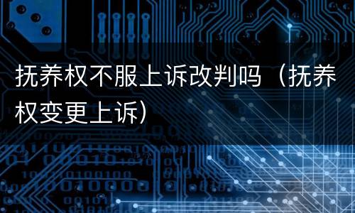 抚养权不服上诉改判吗（抚养权变更上诉）