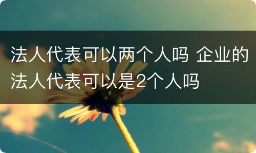 法人代表可以两个人吗 企业的法人代表可以是2个人吗