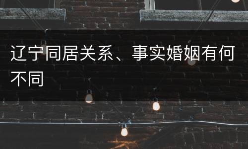 辽宁同居关系、事实婚姻有何不同