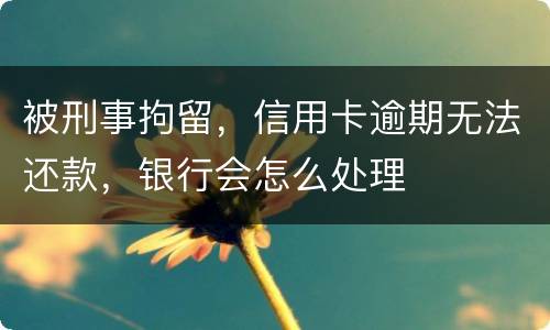 被刑事拘留，信用卡逾期无法还款，银行会怎么处理