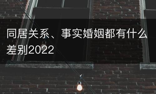 同居关系、事实婚姻都有什么差别2022