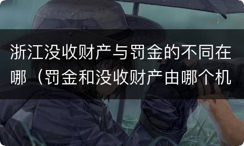浙江没收财产与罚金的不同在哪（罚金和没收财产由哪个机关执行）