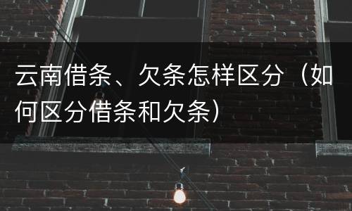 云南借条、欠条怎样区分（如何区分借条和欠条）