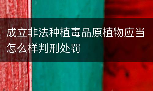 成立非法种植毒品原植物应当怎么样判刑处罚