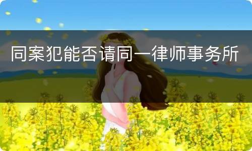 同案犯能否请同一律师事务所