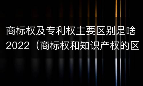 商标权及专利权主要区别是啥2022（商标权和知识产权的区别）