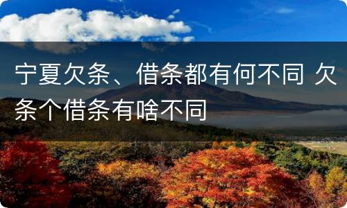 宁夏欠条、借条都有何不同 欠条个借条有啥不同