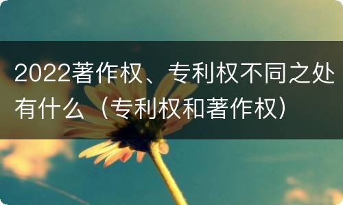 2022著作权、专利权不同之处有什么（专利权和著作权）
