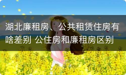 湖北廉租房、公共租赁住房有啥差别 公住房和廉租房区别