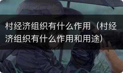 村经济组织有什么作用（村经济组织有什么作用和用途）