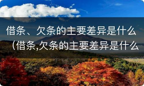 借条、欠条的主要差异是什么（借条,欠条的主要差异是什么）
