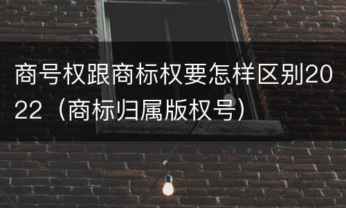 商号权跟商标权要怎样区别2022（商标归属版权号）