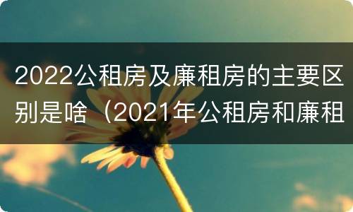 2022公租房及廉租房的主要区别是啥（2021年公租房和廉租房有什么区别）