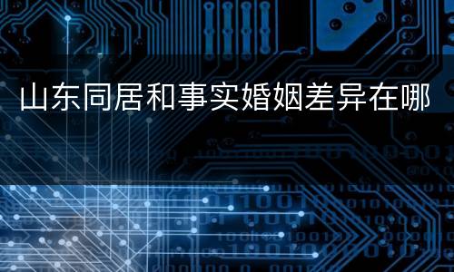 山东同居和事实婚姻差异在哪