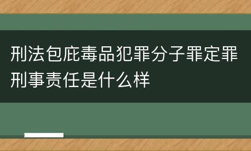 刑法包庇毒品犯罪分子罪定罪刑事责任是什么样