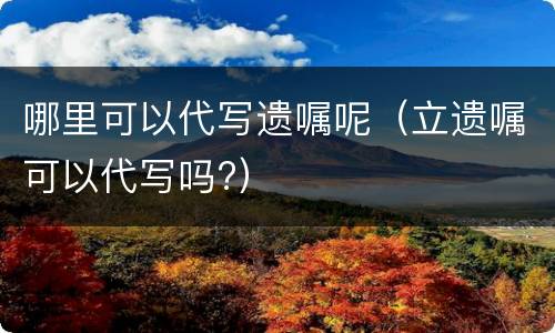 哪里可以代写遗嘱呢（立遗嘱可以代写吗?）