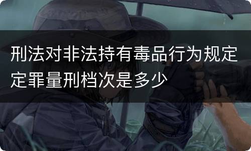 刑法对非法持有毒品行为规定定罪量刑档次是多少