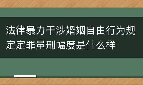 法律暴力干涉婚姻自由行为规定定罪量刑幅度是什么样