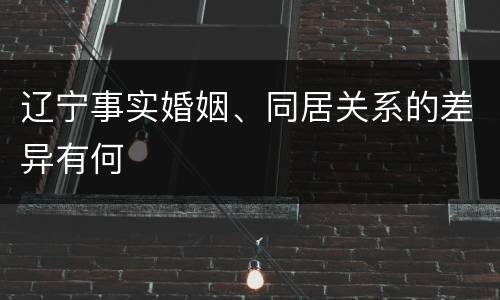 辽宁事实婚姻、同居关系的差异有何