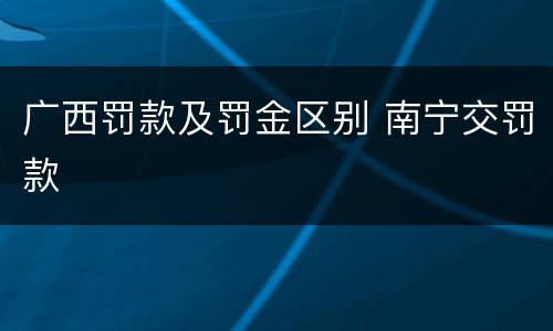 广西罚款及罚金区别 南宁交罚款
