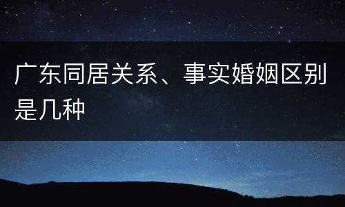 广东同居关系、事实婚姻区别是几种