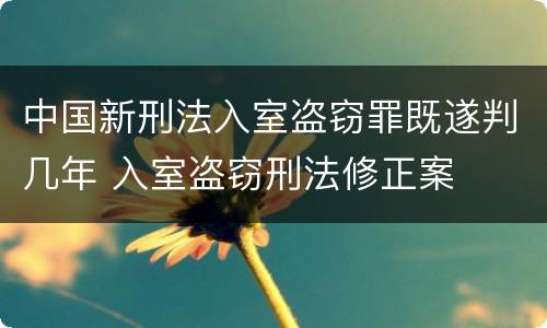 中国新刑法入室盗窃罪既遂判几年 入室盗窃刑法修正案
