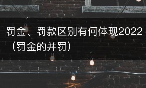 罚金、罚款区别有何体现2022（罚金的并罚）