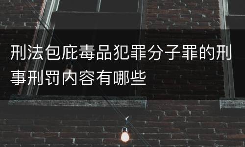 刑法包庇毒品犯罪分子罪的刑事刑罚内容有哪些