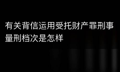 有关背信运用受托财产罪刑事量刑档次是怎样