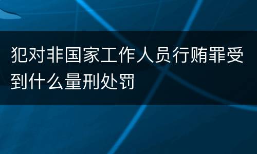 犯对非国家工作人员行贿罪受到什么量刑处罚