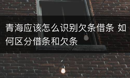 青海应该怎么识别欠条借条 如何区分借条和欠条