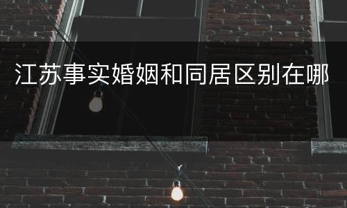 江苏事实婚姻和同居区别在哪