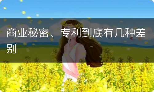 商业秘密、专利到底有几种差别