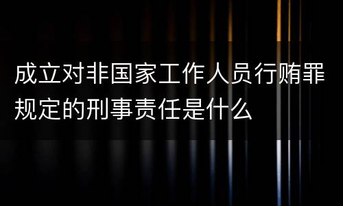 成立对非国家工作人员行贿罪规定的刑事责任是什么