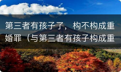 第三者有孩子了，构不构成重婚罪（与第三者有孩子构成重婚罪吗）
