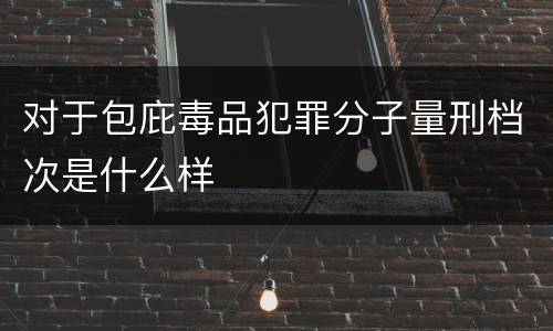 对于包庇毒品犯罪分子量刑档次是什么样