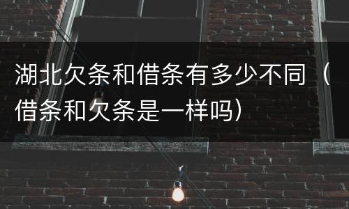 湖北欠条和借条有多少不同（借条和欠条是一样吗）