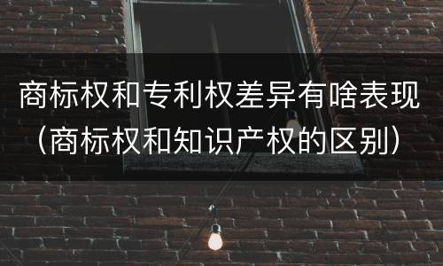 商标权和专利权差异有啥表现（商标权和知识产权的区别）