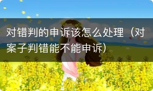 对错判的申诉该怎么处理（对案子判错能不能申诉）