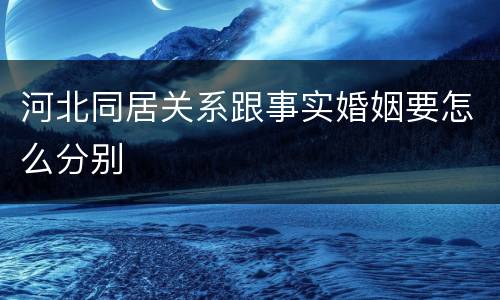 河北同居关系跟事实婚姻要怎么分别